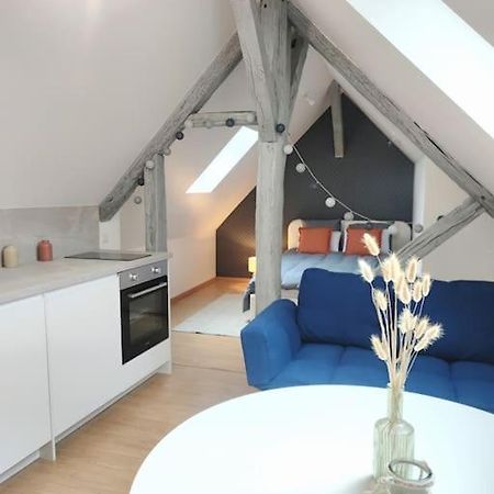Da Vinci - Studio Charmant Amboise Extérieur photo