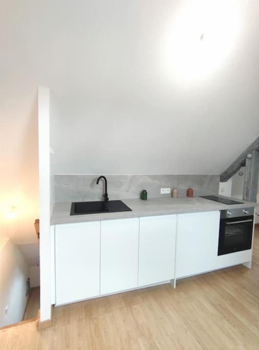 Da Vinci - Studio Charmant Amboise Extérieur photo
